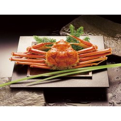 ボイルずわいがに姿 450g×1尾 ZHB451N