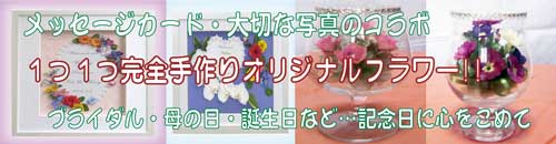 原色ドライフラワー・レカンフラワー。メッセージカード・写真を花に込めて!「通販百貨 Happy Puppy」