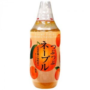 画像: 北川村ゆず王国　つぶつぶネーブル　480g　12個セット　22053