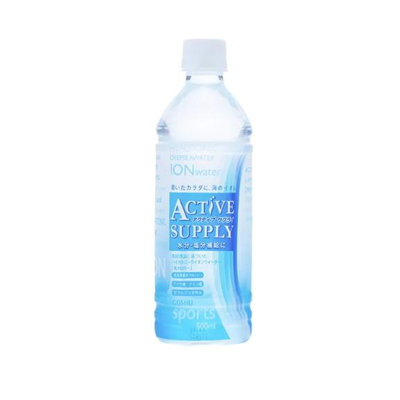 五洲薬品 アクティブサプライ 500ml×24本